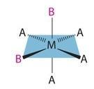 Para um complexo disubstituído MA 4 B 2 : O arranjo hexagonal planar produz 3 isômeros (orto,