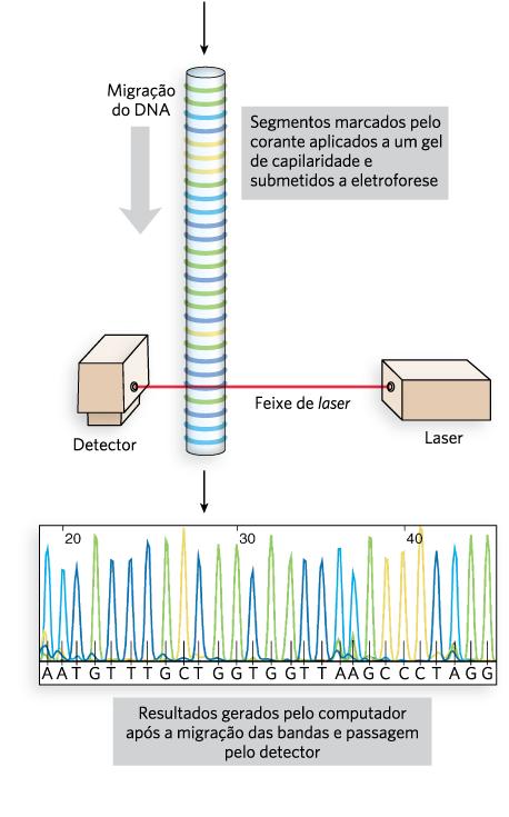 Automação do Sequenciamento pelo Método de Sanger ddntps fluorescentes (4