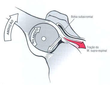 abdução do braço e