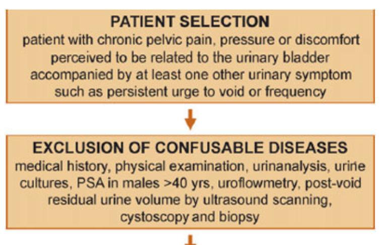 International Society for the Study of BPS (ESSIC) Van