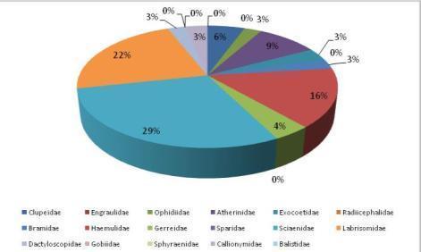 Seguida por Labrisomidae e Haemulidae que contribuíram com 22 % e 16 %, respectivamente (Figura 6.6-22).