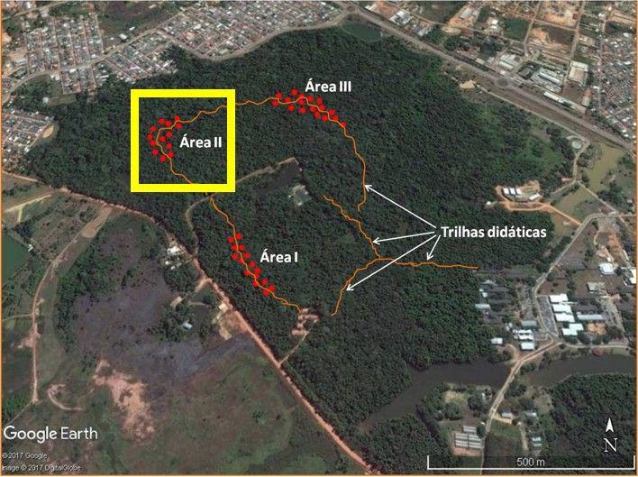 OBJETIVOS Analisar a composição florística e as características fitossociológicas do componente arbóreo de uma área do fragmento florestal do Parque Zoobotânico da Universidade Federal do Acre, em