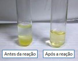 animal ou óleos residuais usados em fritura (ROSSI et al., 2018). A massa molar média da fração oleína do óleo de frango pode ser calculada (856,4 g.