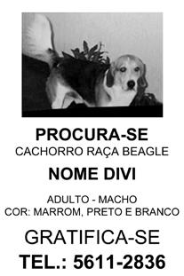 Língua Portuguesa e Matemática EJA Fase 1 e Fase 2 SAEMI 2013 27 (ES.03.1800) Leia o texto abaixo. 68,0% de acerto Esse texto serve para anunciar a venda de cães. contar uma história de um cão.