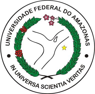 UNIVERSIDADE FEDERAL DO AMAZONAS INSTITUTO DE CIÊNCIAS EXATAS DEPARTAMENTO DE FÍSICA PROGRAMA DE PÓS-GRADUAÇÃO EM FÍSICA ESTUDO DA