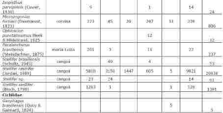 PLANO / PROGRAMA