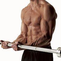 Sistema de alavancas Braço de alavanca nos exercícios INTERPOTENTE Bíceps