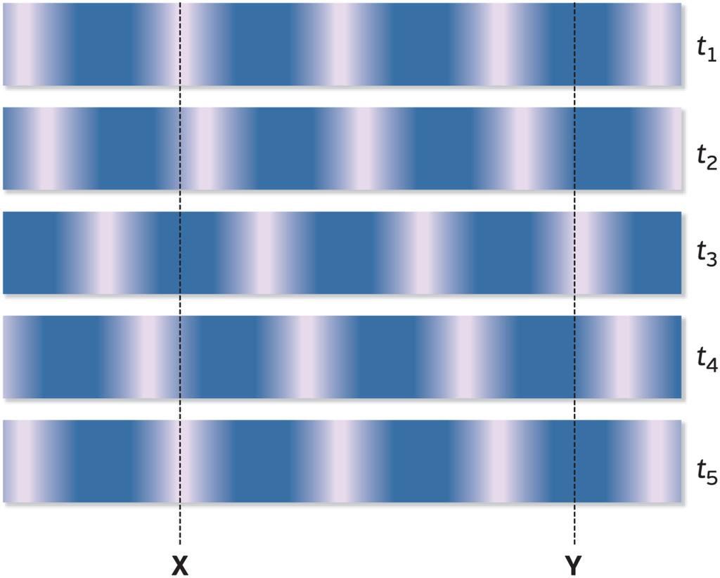 A figura seguinte mostra que a pressão em duas posições X e Y no instante t 1 volta a ser a mesma em t 5, existindo uma repetição periódica da pressão ao longo do tempo.