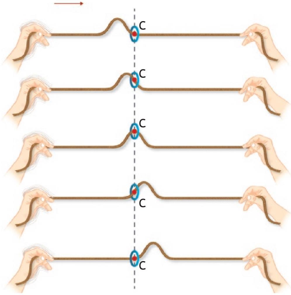 Uma argola, colocada num ponto C da corda, atingida pela perturbação, executa um movimento ascendente e posteriormente descendente segundo uma direção que é perpendicular à