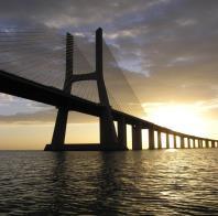 biodiversidade no contexto do Tejo; Há uma atividade económica limitada associada à espécie, mas a