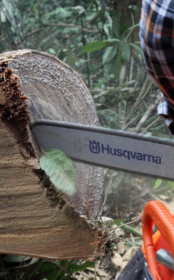 VERSÁTIL HUSQVARNA 545 DESCONTOS até 200 Para empreiteiros e proprietários de quintas que