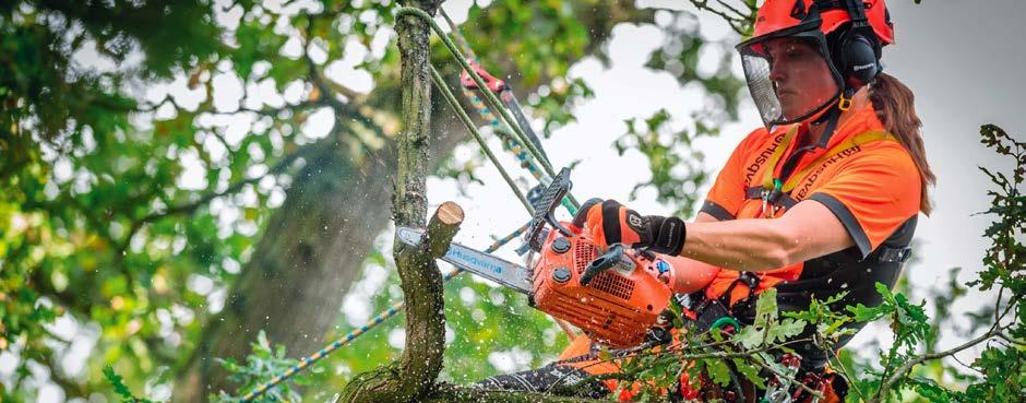 DESBASTE E LIMPEZA PODA ROÇADORAS 180 DE POUPANÇA EM TODOS OS