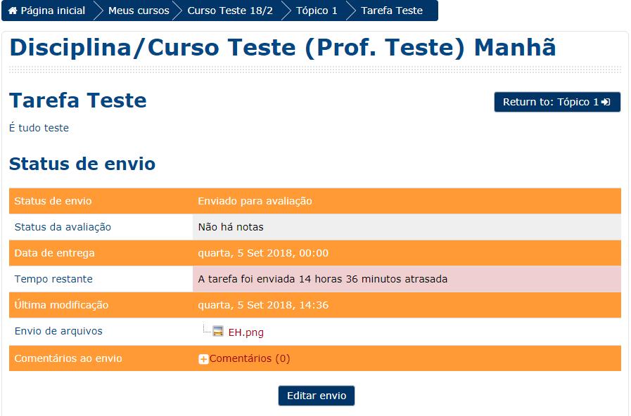 Clique em Salvar mudanças : Clique em Editar envio caso necessário: Tanto