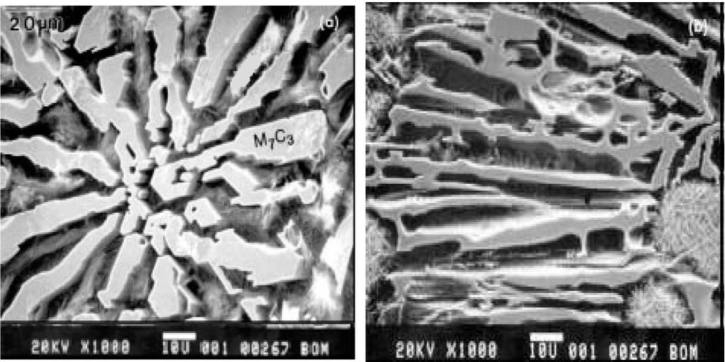 36 Figura 14 - Morfologia dos carbonetos eutéticos.