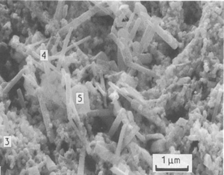 44 Os autores concluíram que o aumento do tempo da liga em exposição à temperatura de 800ºC não provocou alteração na morfologia dos carbonetos em questão, mas aumentou substancialmente a quantidade