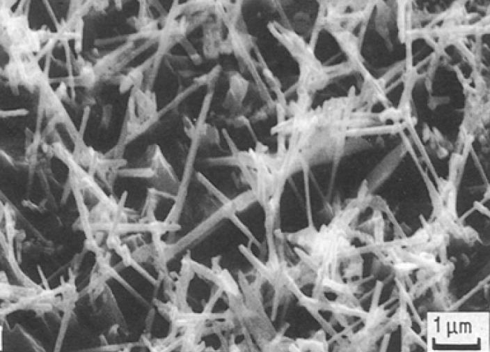 45 Já as figuras 20 (a) e (b) mostram os carbonetos M23C6 formados na liga C durante um tratamento térmico realizado a 1000ºC por 15 minutos e 4 horas, respectivamente.