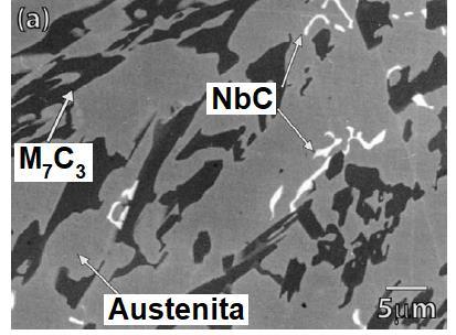50 As microestruturas encontradas foram hipoeutéticas, consistindo em dendritas de austenita primária e o eutético composto por carbonetos M7C3 e austenita.