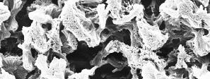 Figura 3: Fotomicrografia obtida por MEV da membrana de PA6 com 1% de argila AST.