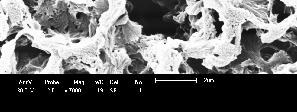 (poliamida6) e inorgânico (argila) existente em todas as membranas produzidas a partir de nanocompósitos.