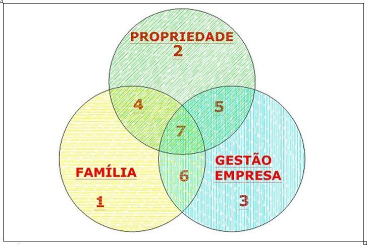 14 propriedade, gestão e sucessão de uma geração para a seguinte (GERSICK et al 2007).