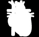 cardiovascular 65% dos indivíduos diabéticos morrem de eventos CV 3 Doença