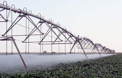 Irrigação Sistema x microclima Fator Sulco