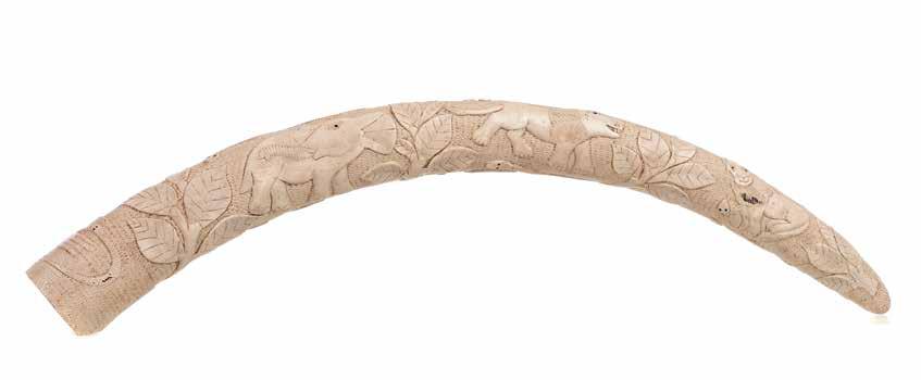 BASE: 350 1202 - Presa trabalhada em marfim africano Presa em marfim africano, colonial português c.