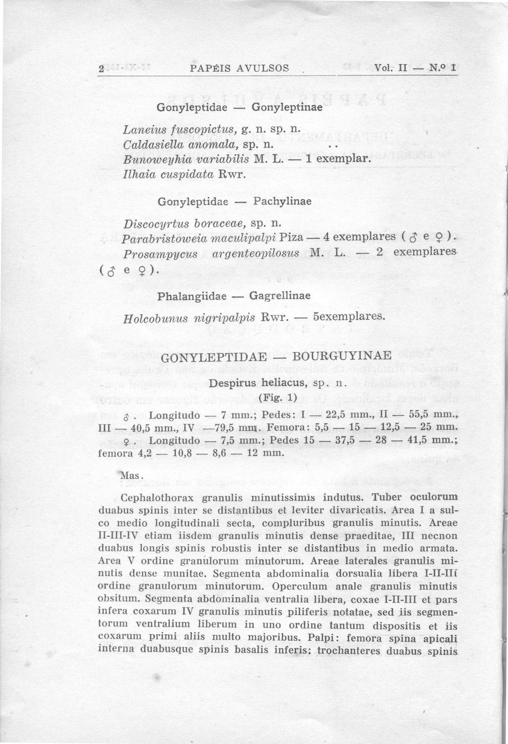 2 PAPÉIS AVULSOS Vol. II N I Gonyleptidae Gonyleptina e Laneius fuscopictus, g. n. sp. n. Caldasiella anomala, sp. n. Bunoweyhia variabilis M. L. 1 exemplar. Ilhaia cuspidata Rwr.
