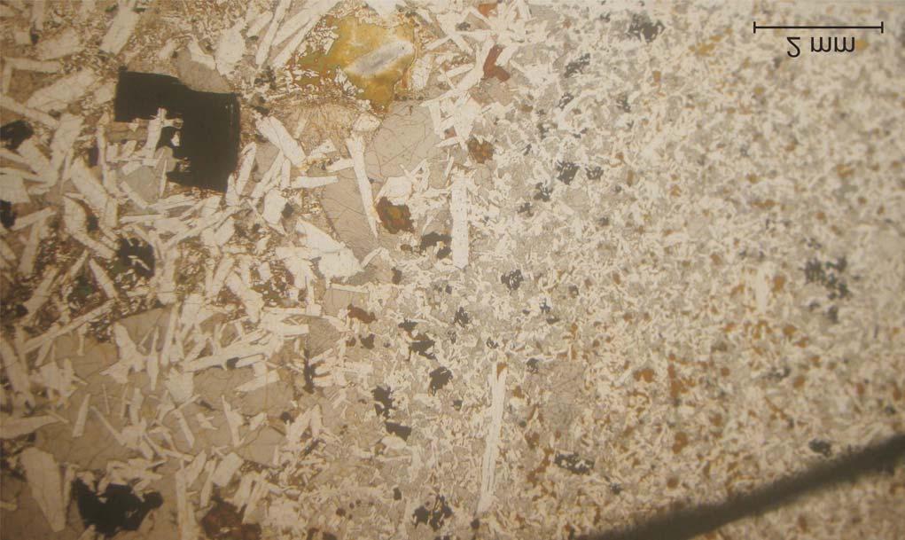 Figura 10 Fotomicrografia capturada em petroscópio óptico (nícois //) exibindo contato irregular e gradacional entre pegmatito (esquerda) e basalto encaixante (direita).