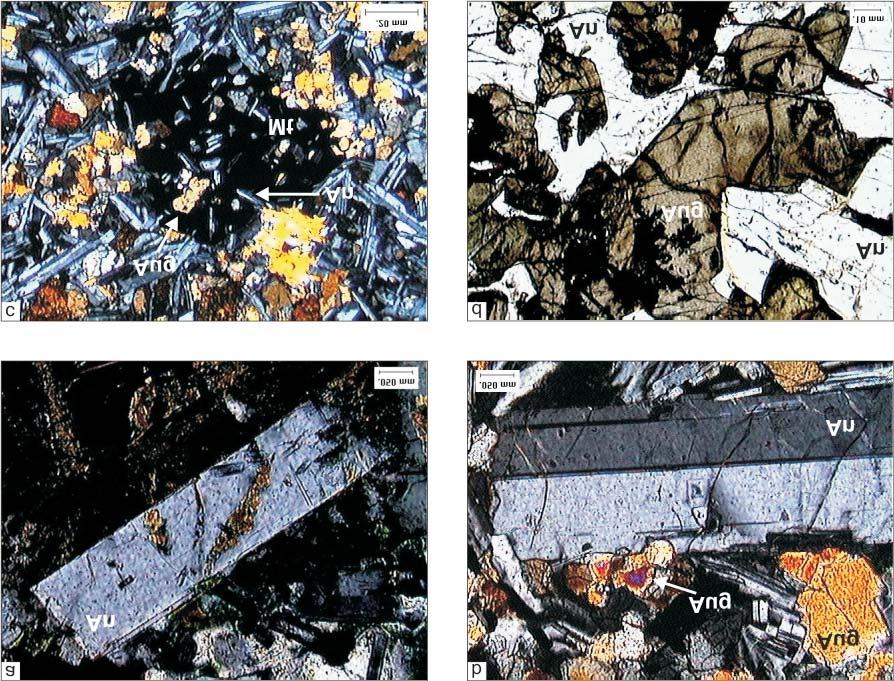 Figura 8 Fotomicrografias de amostras de basalto. (a) Microfenocristal ripiforme de andesina (An), euédrico, exibindo limites bem definidos (nicóis X).