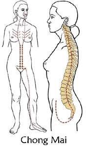 O meridiano Chong Mai Possui 5 vias: a 1ª tem origem no baixo ventre e segue os canais do Rim em direção ascendente e se dispersa no tórax.