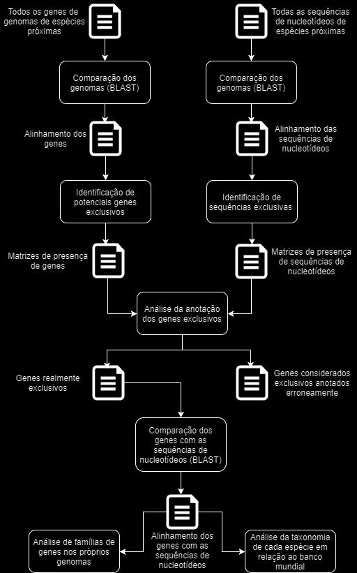 desenvolvida nesse projeto.