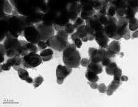 % Nanopartículas Níquel 84 50 40 30 20 10 0 10 20 30 40 50 60 70 80 90 100 Dp (nm) Figura 4.6 Morfologia e distribuição do tamanho das NPs de Ni/AO dispersas em ph básico, obtidas por MET.