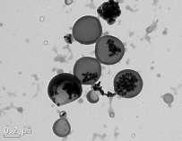 101 As micrografias das nanopartículas de PMMA sintetizadas com o uso do iniciador KPS (látex 88), podem ser vistas na Figura 4.14.