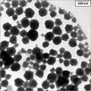 O negativo da imagem de MET da amostra pode ser observada na Figura 5.12 (b). Nota-se que as partículas apresentam pontos mais claros no seu interior identificados como nanopartículas de níquel.
