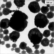 14 - Micrografia obtida por MET do látex AR 27 (a),