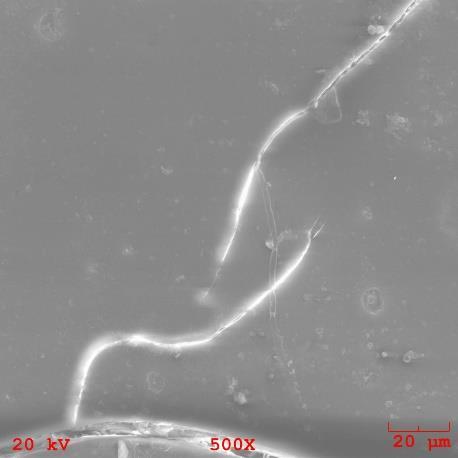 Já na micrografia do copolímero 70/30 (c) observou-se uma superfície rugosa em toda a extensão da amostra. O copolímero 90/10 (d) apresentou uma aparência completamente lisa e homogênea.