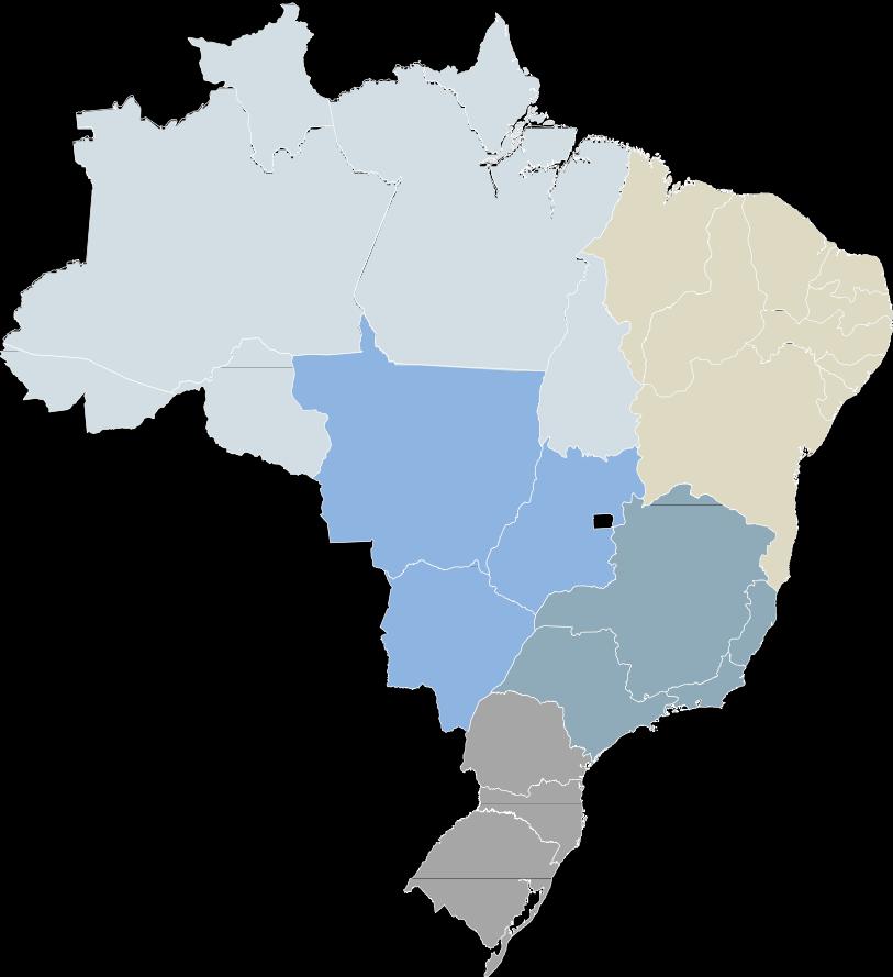 11 CARREFOUR BRASIL: LÍDER EM HIPERMERCADOS GANHOS CONTÍNUOS DE MARKET SHARE 101 LOJAS ESTRATEGICAMENTE LOCALIZADAS EM GRANDES PÓLOS DE CONSUMO GANHOS CONTÍNUOS DE MARKET SHARE¹ Norte: 5