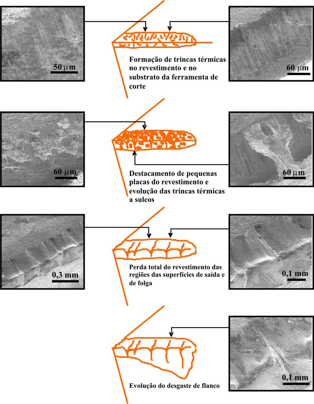 Cap. 2 Revisão Bibliográfica Figura 16 - Estágios de formação e evolução de trincas térmicas e do desgaste em insertos da classe P45 revestidos com TiCN/TiN, após fresamento de um aço ABNT 1045 com