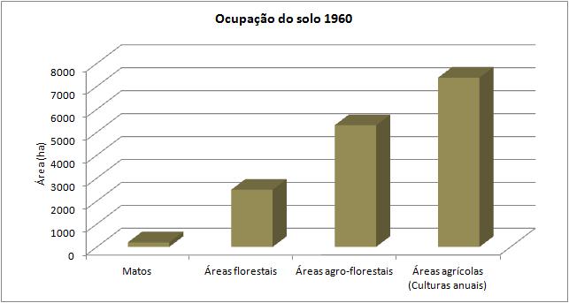 Evolução da