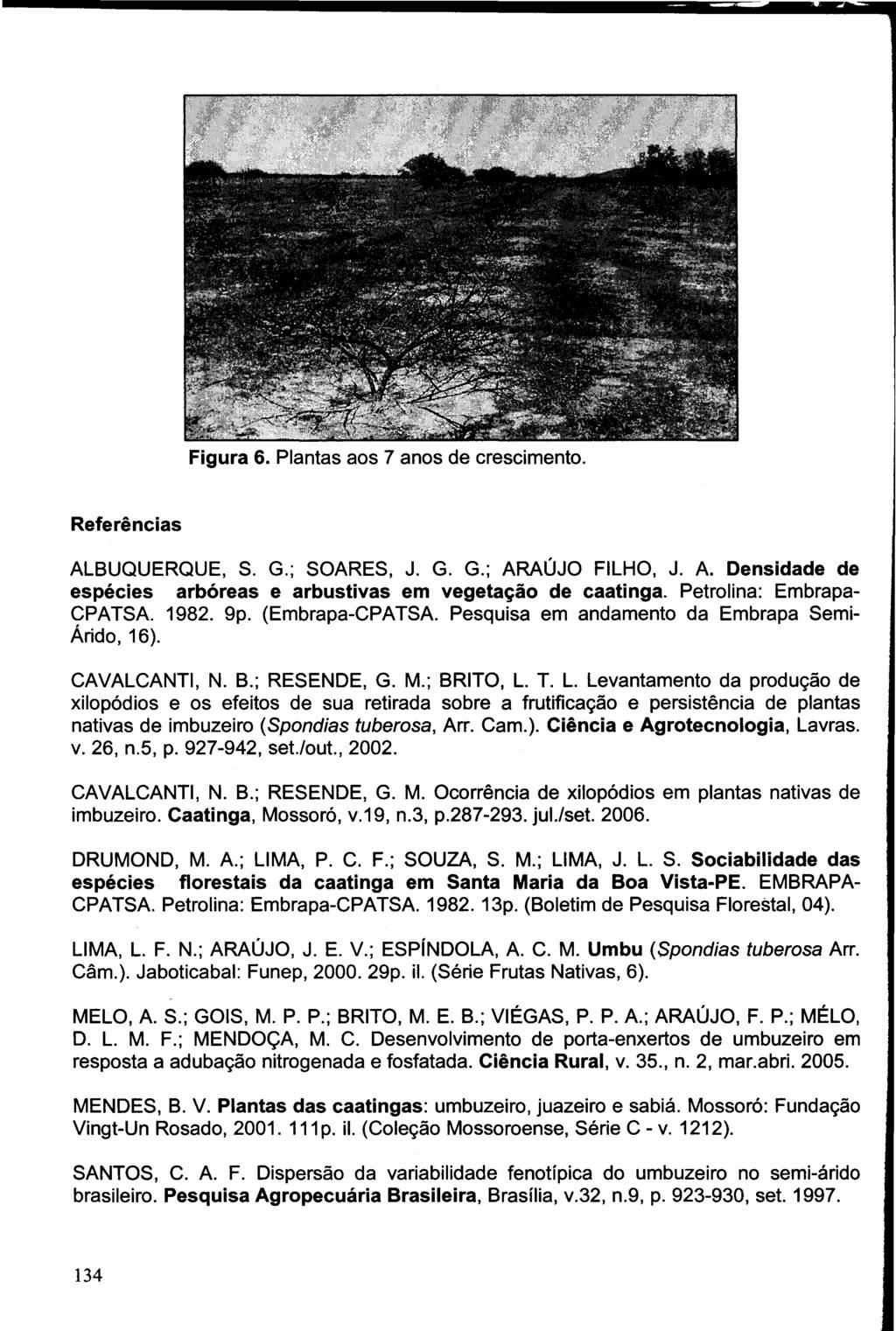 ALBUQUERQUE, S. G.; SOARES, J. G. G.; ARAÚJO FILHO, J. A. Densidade de espécies arbóreas e arbustivas em vegetação de caatinga. Petrolina: Embrapa- CPATSA 1982. 9p.