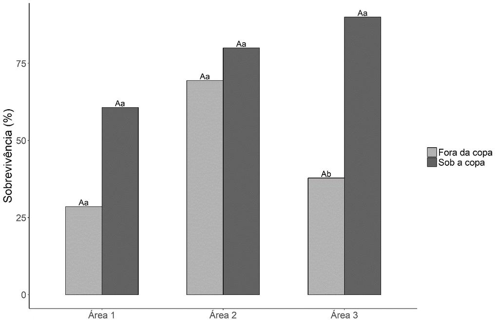 Gráfico 4 - Comparação da sobrevivência de Pilosocereus catingicola transplantados sob a copa e fora da copa de Byrsonima crassifolia nas três áreas do gradiente de severidade ambiental.