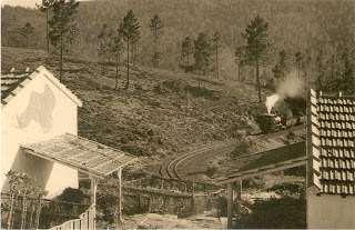 No entanto, em 1917 foi fundada a Empresa Carbonífera do Douro,Lda., a qual passou a explorar aquela concessão.