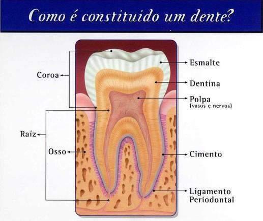 DENTE