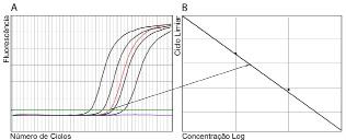A partir da curva padrão, pode-se quantificar amostras positivas de concentrações desconhecidas.
