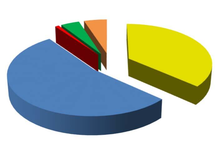 4.3 DISTRIBUIÇÃO POR INSTITUIÇÃO FINANCEIRA SEGMENTO VALOR APLICADO (em R$) Percentual sobre Patrimônio Líquido RPPS Banco do Brasil 46.627.316,91 36,6% Caixa Econômica Federal 68.233.