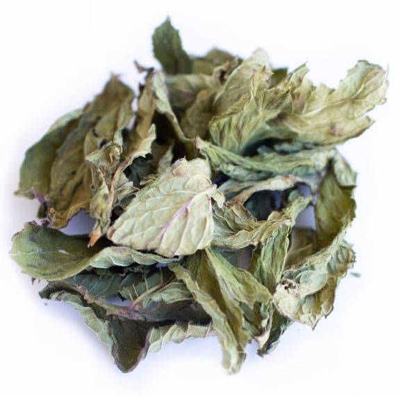 HORTELÃ-VULGAR Mentha spicata Planta aromática, medicinal. É uma planta com um aroma fresco e picante é ideal para a preparação de infusões, pode ser utilizada em bebidas quentes ou frias.