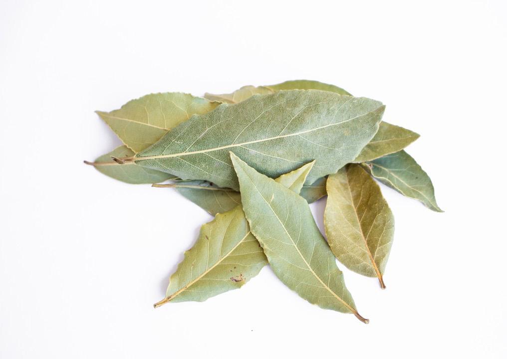 LOURO Laurus nobilis É um tempero que estimula o apetite e é uma das ervas mais usadas na culinária. As folhas de louro têm um sabor levemente amargo.