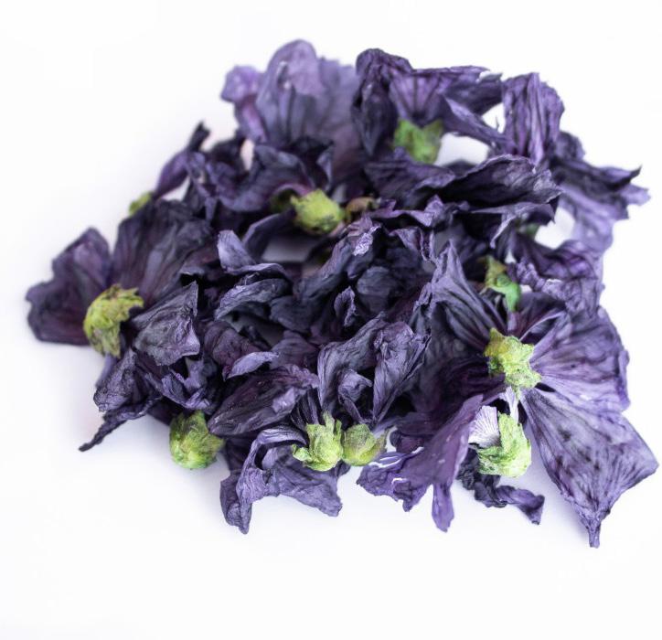 MALVA Malva sylvestris A malva é uma planta medicinal e aromática, apreciada como um vegetal e como um remédio. As suas folhas são usadas em sopas e saladas.