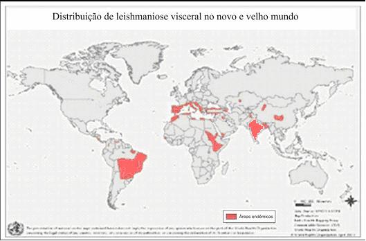 Figura 2: Distribuição mundial da forma visceral de leishmaniose. As áreas em vermelho sinalizam zonas endêmicas.